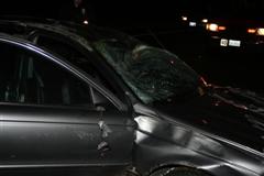 Brian's Jaguar X-type Accident